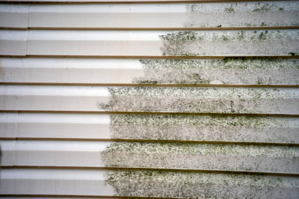 Best Siding Painting and Refinishing  in Spring Green, WI